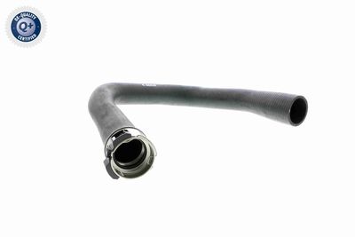 Charge Air Hose VAICO V40-1361