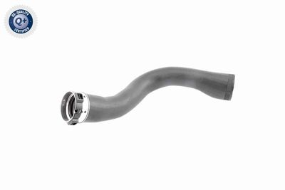 Charge Air Hose VAICO V40-1364