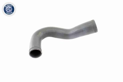 Charge Air Hose VAICO V40-1365