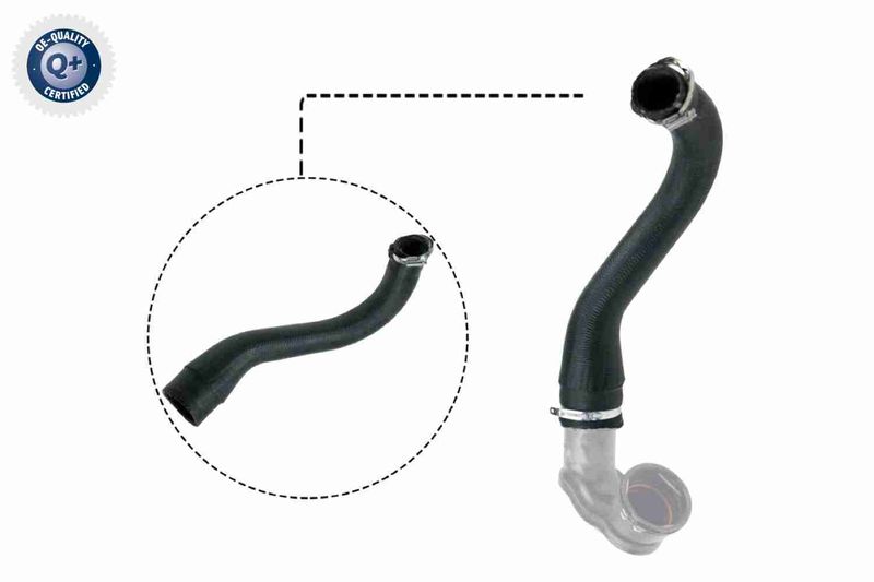 VAICO V40-1498 Charge Air Hose