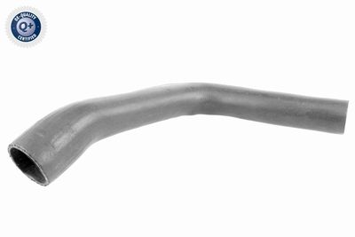 Charge Air Hose VAICO V40-1499