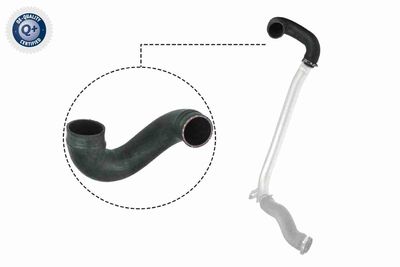 Charge Air Hose VAICO V40-1512