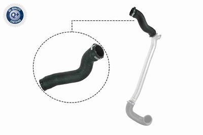 Charge Air Hose VAICO V40-1513
