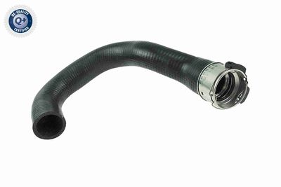 Charge Air Hose VAICO V40-1514