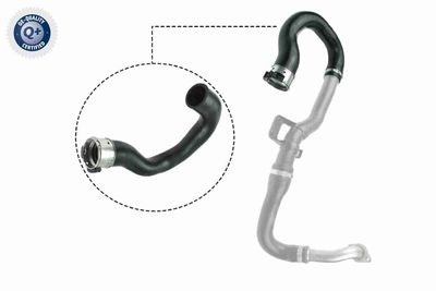Charge Air Hose VAICO V40-1516