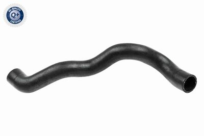 Radiator Hose VAICO V40-1602