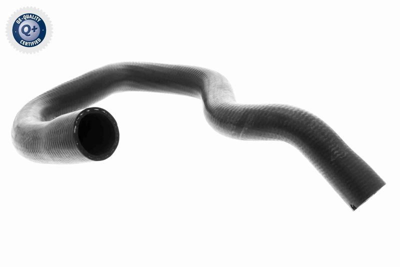 VAICO V40-1779 Radiator Hose