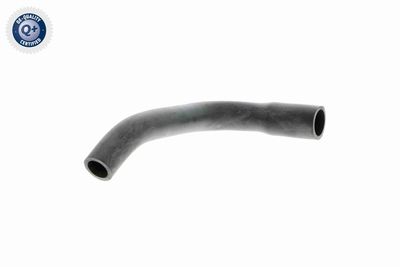 Hose, cylinder head cover ventilation VAICO V40-1782