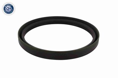 Shaft Seal, crankshaft VAICO V40-1801