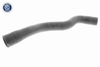 Radiator Hose VAICO V40-1995