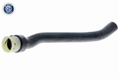 Radiator Hose VAICO V40-2006