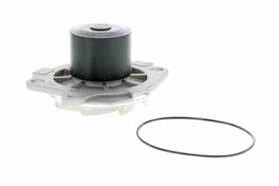 Water Pump, engine cooling VAICO V40-50044