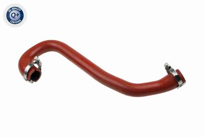 Charge Air Hose VAICO V41-0002