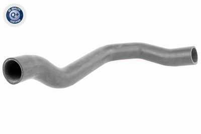 Charge Air Hose VAICO V42-0566