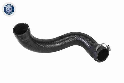 Charge Air Hose VAICO V42-0573