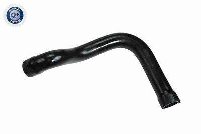 Charge Air Hose VAICO V42-0586