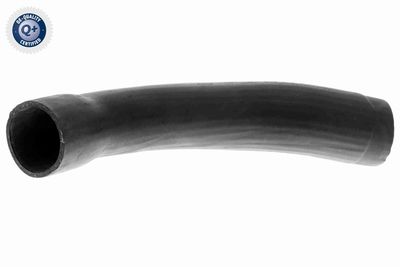 Charge Air Hose VAICO V42-0589