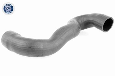 Charge Air Hose VAICO V42-0599