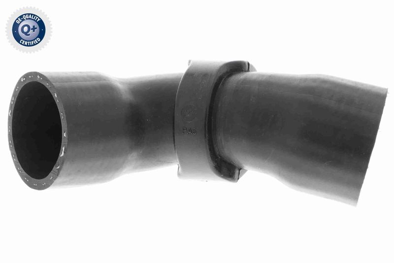VAICO V42-0613 Charge Air Hose