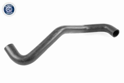 Radiator Hose VAICO V42-0666