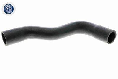 Radiator Hose VAICO V42-0669
