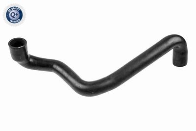 Radiator Hose VAICO V42-0867