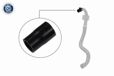 Charge Air Hose VAICO V46-0827
