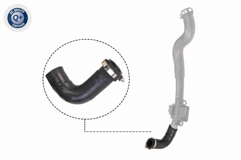 VAICO V46-0828 Charge Air Hose