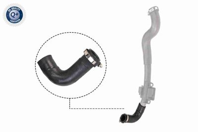 Charge Air Hose VAICO V46-0828