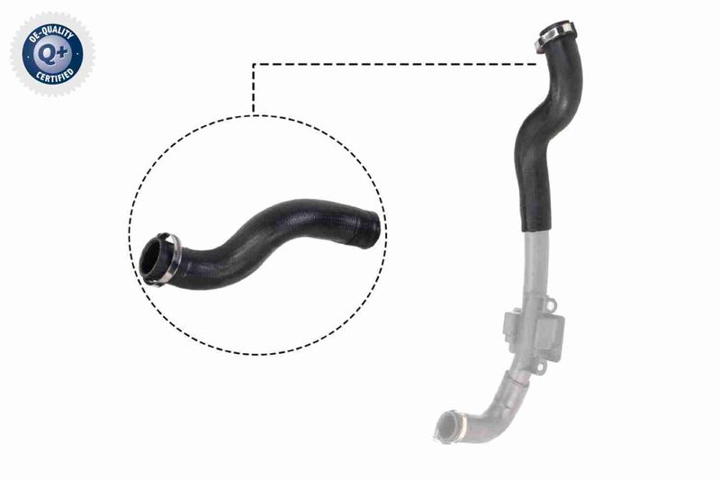 VAICO V46-0830 Charge Air Hose