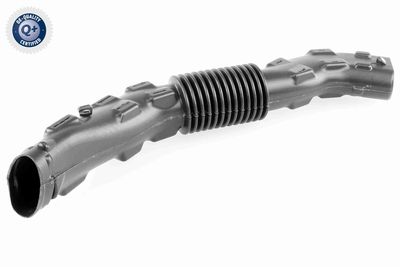 Intake Hose, air filter VAICO V46-1022