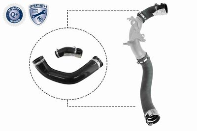 Charge Air Hose VAICO V46-1025
