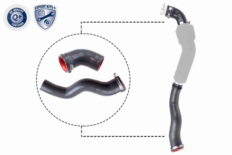VAICO V46-1031 Charge Air Hose