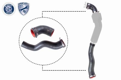 Charge Air Hose VAICO V46-1031