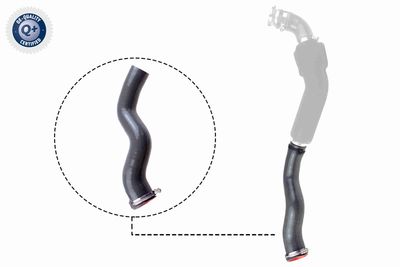 Charge Air Hose VAICO V46-1032