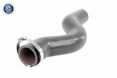 Charge Air Hose VAICO V46-1034