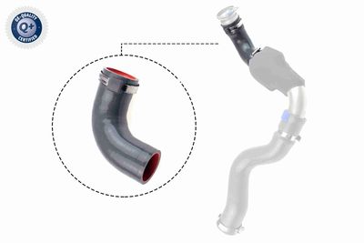Charge Air Hose VAICO V46-1035