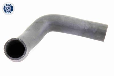 Charge Air Hose VAICO V48-0062