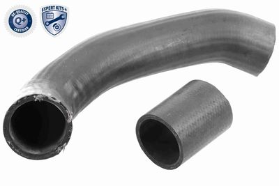Charge Air Hose VAICO V48-0071