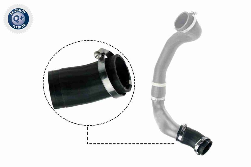 VAICO V48-0186 Charge Air Hose