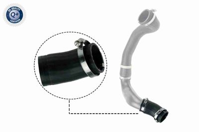 Charge Air Hose VAICO V48-0186