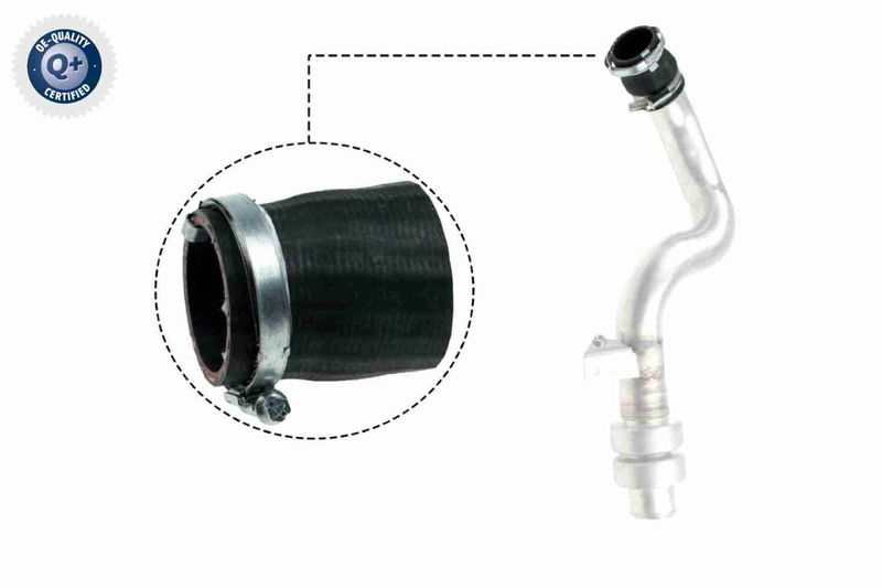 VAICO V48-0192 Charge Air Hose
