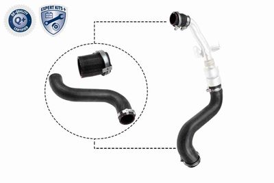 Charge Air Hose VAICO V48-0197