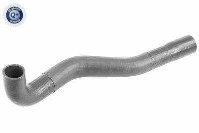 Charge Air Hose VAICO V48-0200