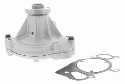 Water Pump, engine cooling VAICO V48-50012
