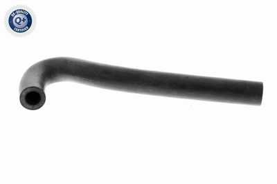 Hose, crankcase ventilation VAICO V50-0064