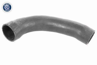 Charge Air Hose VAICO V95-0371