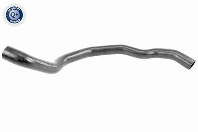 Radiator Hose VAICO V95-0416