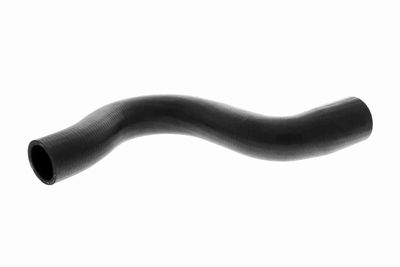 Radiator Hose VAICO V95-0417