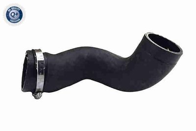 Charge Air Hose VAICO V95-0624